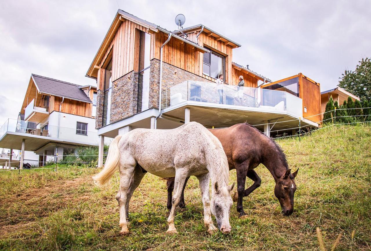 Golden Hill Country Chalets & Suites Waldschach Екстериор снимка