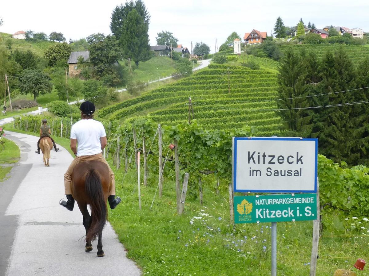 Golden Hill Country Chalets & Suites Waldschach Екстериор снимка