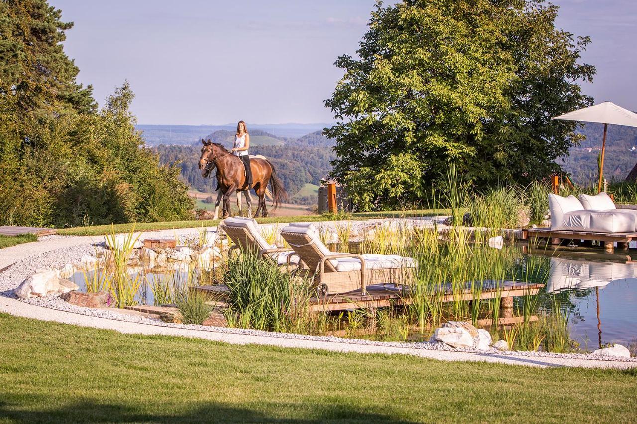 Golden Hill Country Chalets & Suites Waldschach Екстериор снимка