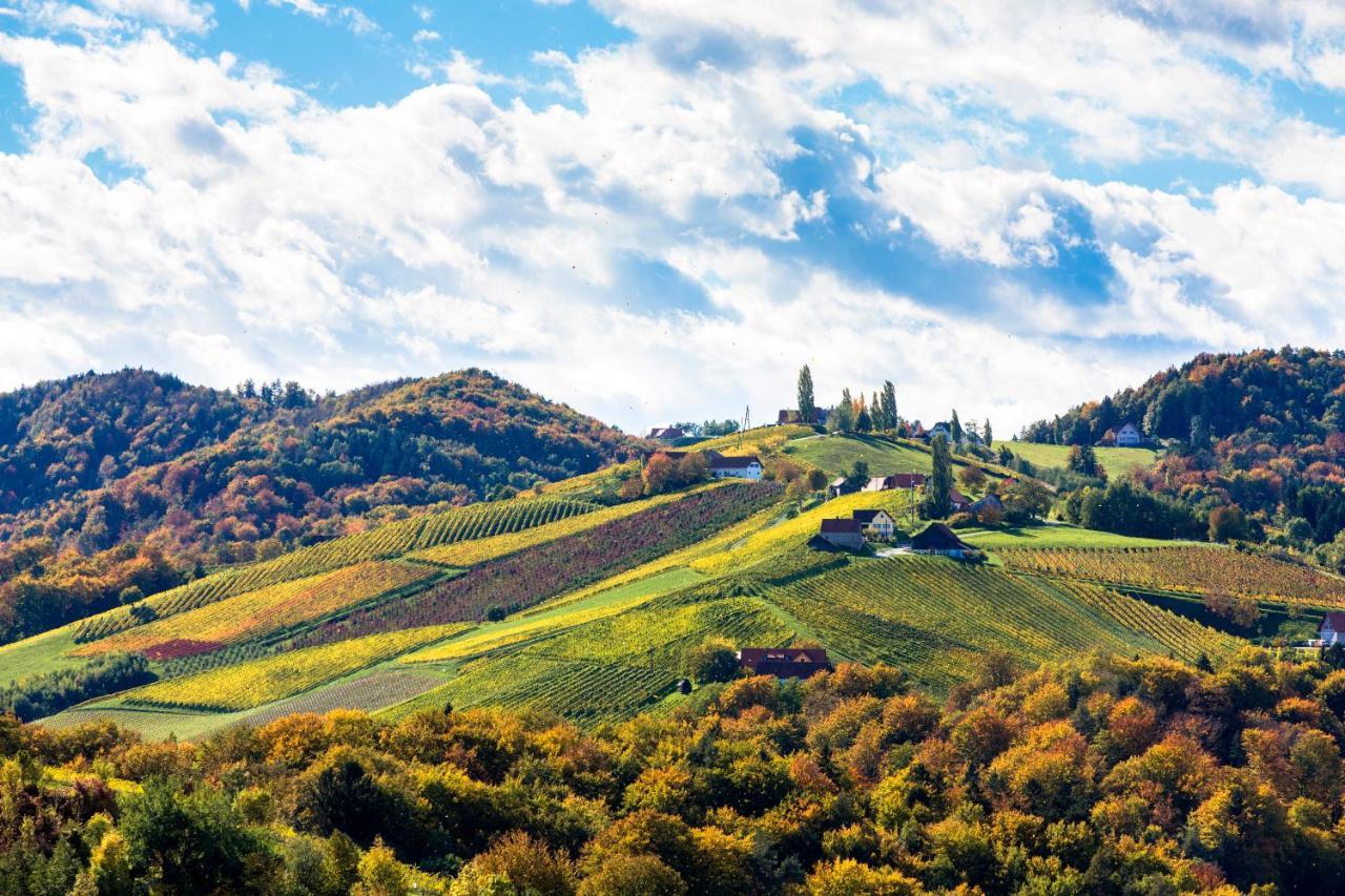 Golden Hill Country Chalets & Suites Waldschach Екстериор снимка